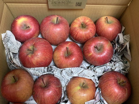 【毎日の食卓に】生食もOK！加工用サンふじ10キロ【葉とらず】JA基準より60％減の低農薬栽培