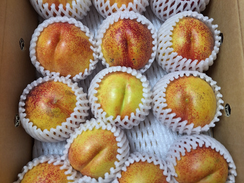 ネクもも🍑スイートビーナス🍑3キロ箱　訳あり家庭用