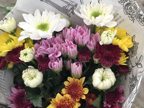 【サコ様専用】大分県産スプレーマム　アソートMIX &白菊スプレーMIX 2set