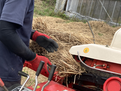 【令和７年新米】ササニシキ白米10kg☆天日干し自然栽培