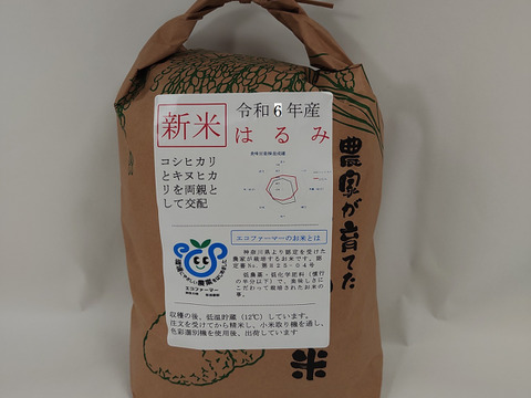 【新品、本物、当店在庫だから安心】 令和6年新米「はるみ」5Kg 「1名様限定」 冷めても美味しい 果物
