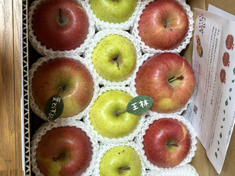 【冬ギフト】 🍎大人気🍏葉とらずふじ・王林  計9～15玉
詰め合わせ3キロ箱 ミックス ID118320