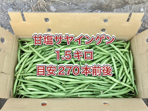 【鹿児島産】甘塩サヤインゲン箱込み1.5キロ^_^