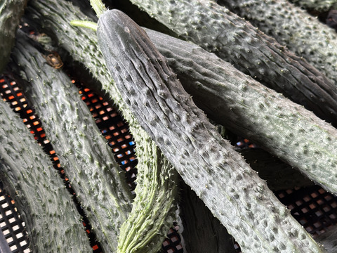 【今だけ！】農薬化学肥料不使用キラピカ野菜BOX7品グリーンレモン&ぴゅあみかんジュース１本