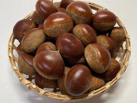 発祥の地　能勢産ブランド栗「銀寄」【お買い得！小さめサイズ１㎏】（SMサイズ）