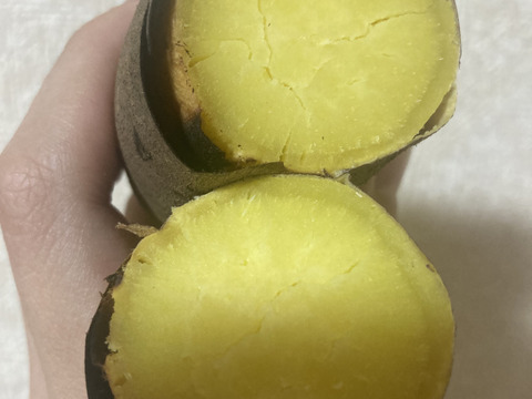 土付き栗かぐや7kg Mサイズ