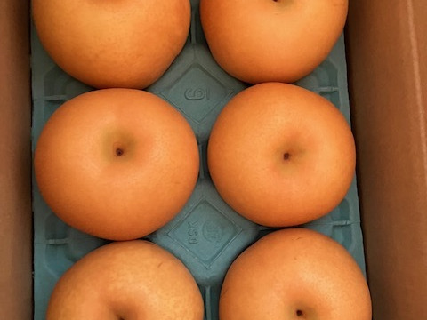 厳選！暑い夏にぴったり【凜夏梨】小箱（５～６玉入り）