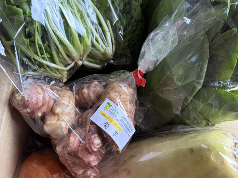 信州冬野菜セット【8品目】