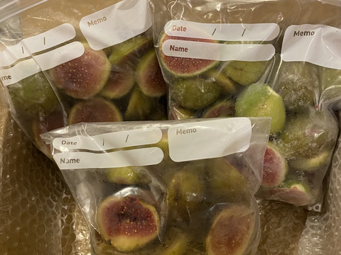 冷凍イチジク1.5ｋ(500g x 3) 完熟収穫＆農薬不使用