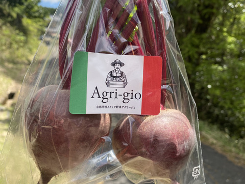 【京都産】　生ビーツ　約1.5kg　(葉なし６〜8個程度 )