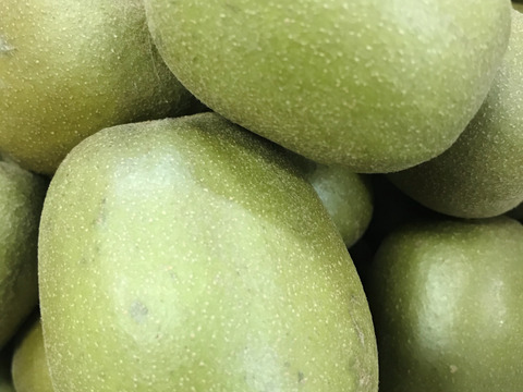 旬のキウイ2品種大玉2.0kg(20~25個)🥝【希少品種レインボーレッド・大人気イエロージョイ】農薬不使用✨️どちらも甘くてとってもジューシー‼️B品のおまけ付き😋