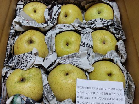 【加工用】訳ありミニサイズ梨を格安で🍐【かおり】約4kg
