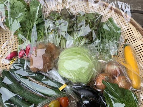 【一日限定1組！】キノコと夏野菜、詰め得ＢＯＸ　８袋のところ10袋以上！