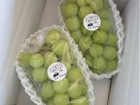 【食べる喜び・贈る喜びを感じる】シャインマスカット400g～450g　1房
