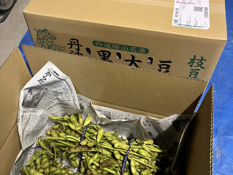 丹波篠山令和5年産　黒大豆　250g 日本農業遺産認定の黒豆