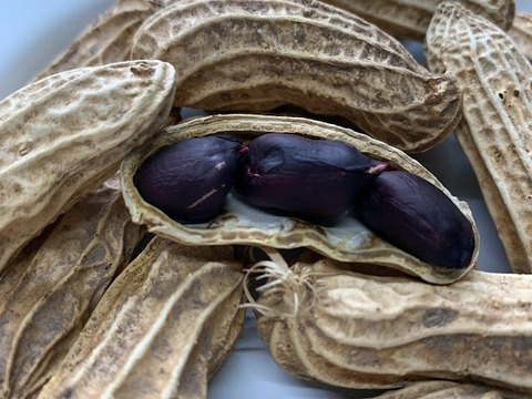 R7年産　自然栽培ブラック入り煎りピーナッツ　止まらない美味しさ！180g×２パック