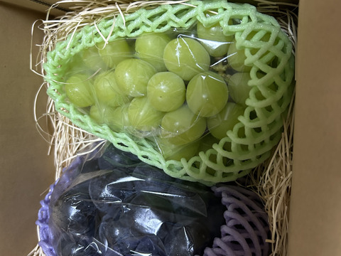 SN1C【クール便】信州松本平　完熟シャインマスカット・ナガノパープルセット1kg