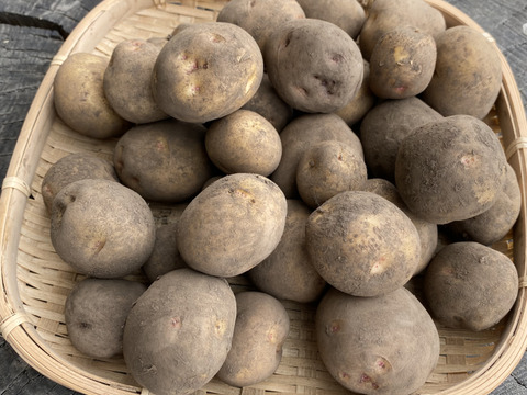 農薬化学肥料不使用かなり小ぶりのキタアカリ4.5キロ