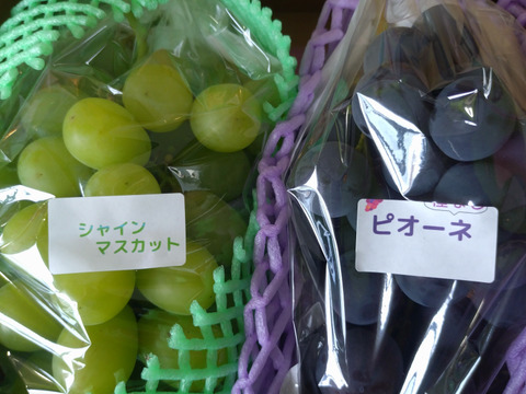 常温便☆山形県高畠産のシャインマスカット＆ピオーネのセット家庭用（一房400㌘〜500㌘）