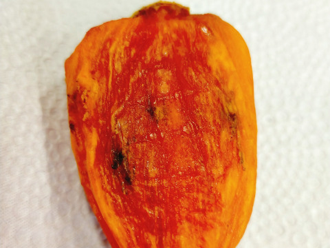 訳あり干柿「西条」8玉