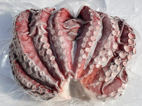 岩手県田野畑産　蒸し真タコ 約1kg