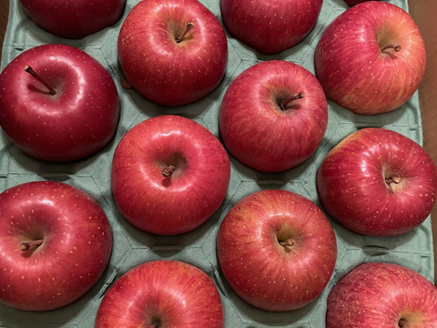 青森県産　甘い完熟サンふじ5キロ　14個から18個入