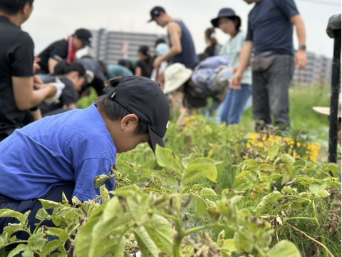 【美味しい野菜をお届けします】　季節の野菜セット『採れTakara☆彡』7品前後