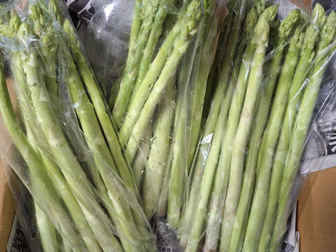 夏アスパラ500ｇ