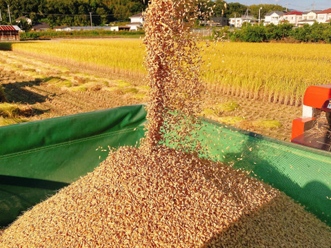 【2022年新米です！】特別栽培米ヒノヒカリ玄米5KG