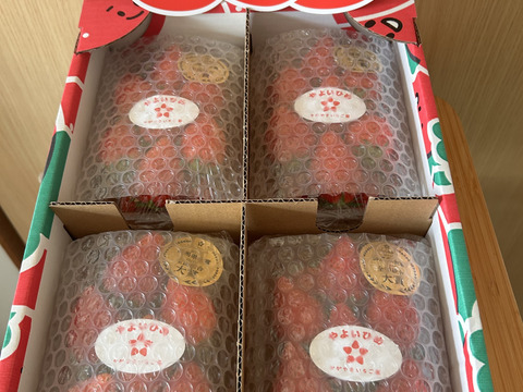 食べ納め【いちごグランプリ2024最高金賞】新鮮完熟やよいひめ（約275g×4P）