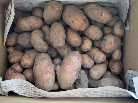 『幻』の固定種　春じゃがいも予約販売限定10kg"農家の中でも幻の固定種！毎年完売！味わい深い春じゃがいも…農薬不使用！美味しい野菜