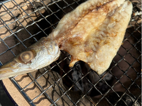【特選地魚食べ比べ】一夜干しや味醂干し漁師手作り干物セット 20パック入り