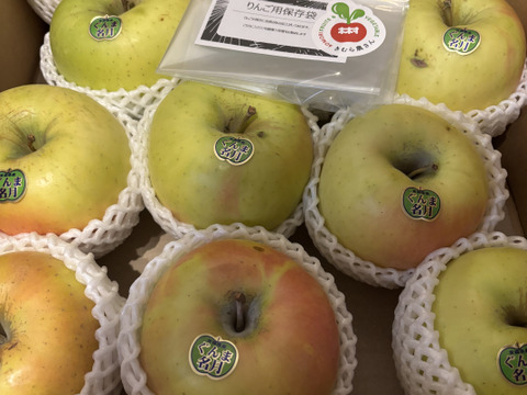 2024年度【ぐんま名月】たっぷり家庭用5キロ🍏おうちりんご🍏希少品種🍏しっかりジューシー