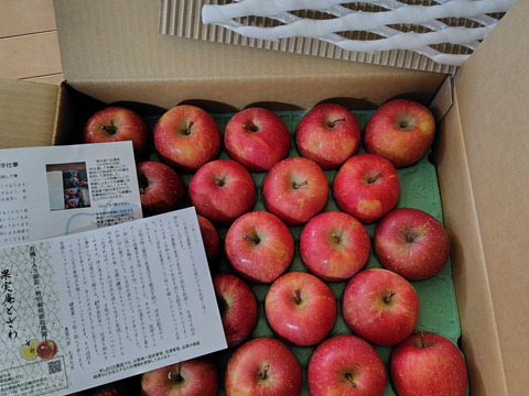 【小玉】☆化学農薬不使用りんご☆サンふじ/小玉23〜25個入り（4.5キロ）