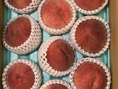 【福袋2025】【さくら白桃】カリッと硬めの甘い桃！9月に食べられる希少品種