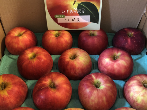 葉とらず　つがる　約4.5kg【2025年産】