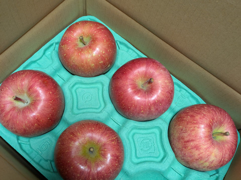 感謝お礼セール‼️とことん味にこだわりました💪😊🍎青森県産葉取らず完熟ふじ約6kg‼️