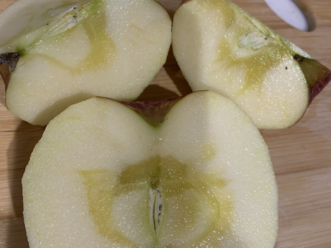 【家庭用】サンふじ　約5kg(送料別)