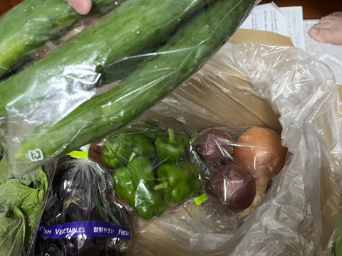 旬の野菜セット７～8品【栽培期間中農薬・化学肥料不使用】
