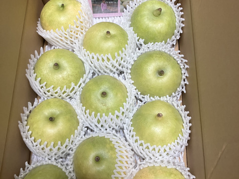 鳥取の！  二十世紀梨（5㎏）