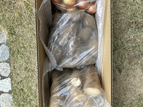 【メークイン１kg】★組み合わせ自由なセット★１kg単位でお好きな量‼️(他、中サイズ長芋.じゃがいも.ごぼう.玉ねぎ等と組み合わせ出来ます)