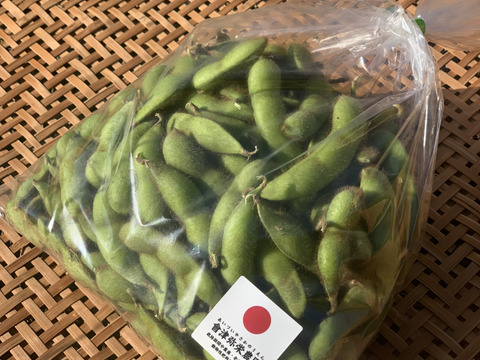 【期間限定】甘い！自然栽培枝豆『音更大袖振大豆』（500g×2p）