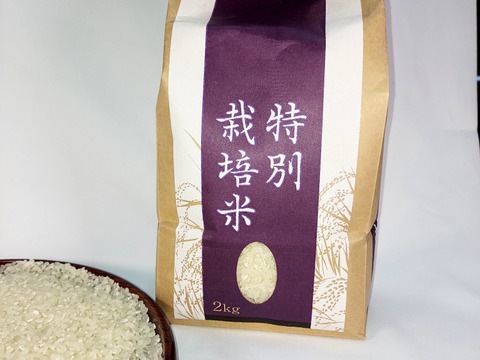 予約受付中 令和8年産】岩手県産 銀河のしずく 厳選プレミアム 2Kg