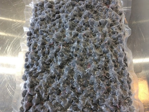 新鮮直送！採れたて冷凍ブルーベリー1㎏