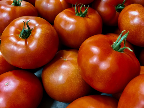 【新春SALE】濃厚！　ぜいたくトマト約2kg　フルーツトマト
