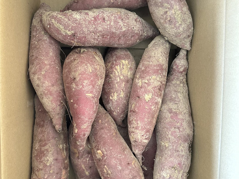 富山県南砺市立野原産赤土べにはるか10kg