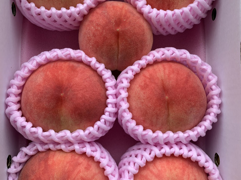 【限定お試し価格‼︎】品種お任せ‼︎6〜8玉‼︎あかつき、川中島、約1.5kg〜