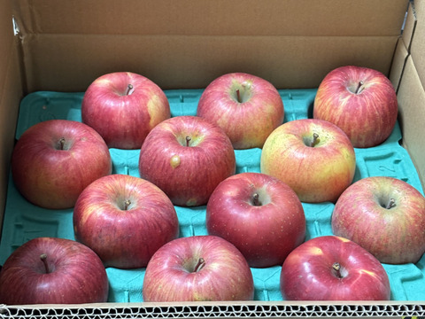 【ご予約】溢れんばかりの果汁！！当農園人気No.1 サンふじ【ご家庭用】５㎏
F-k5