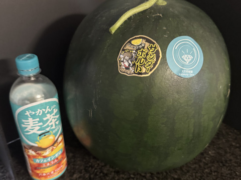 糖度13度超【サンダーボルト】リジェネレーション『大里果樹園のスイカ』M-L