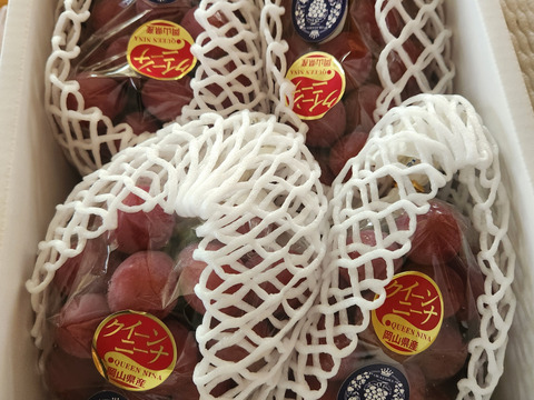 これで今年最終！食べチョクアワード 4年連続受賞！】※ご家庭用 希少